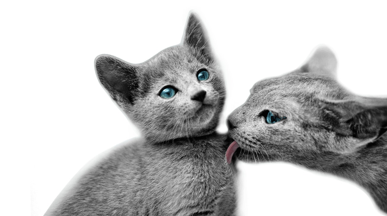 brand story telling background