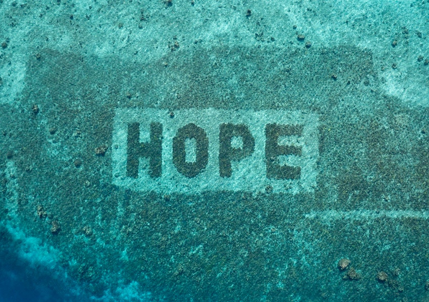 hope ocean