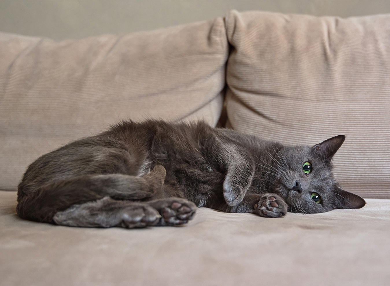 Create Corners They Can Call Their Own