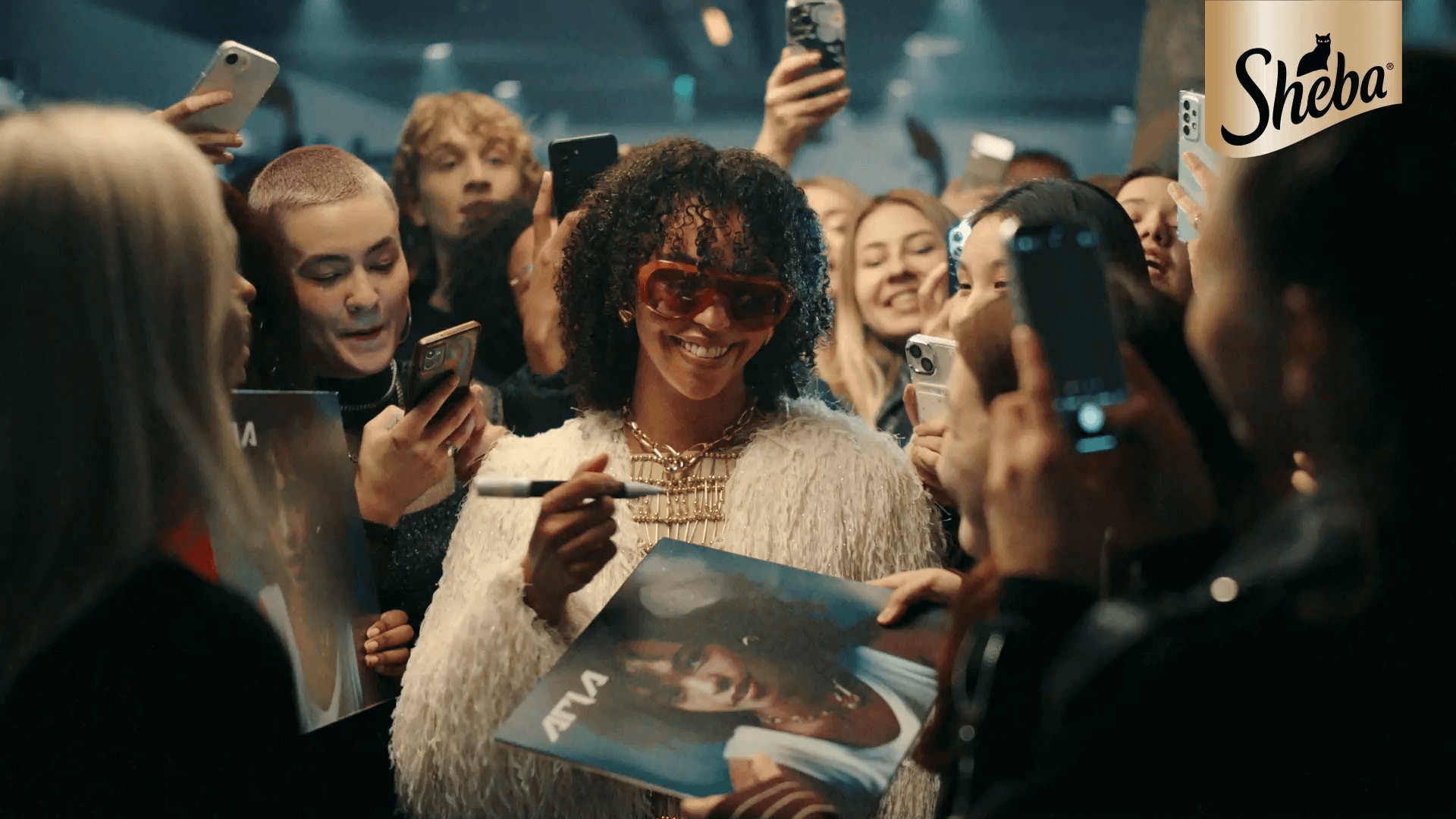 Ignored to Adored video cover