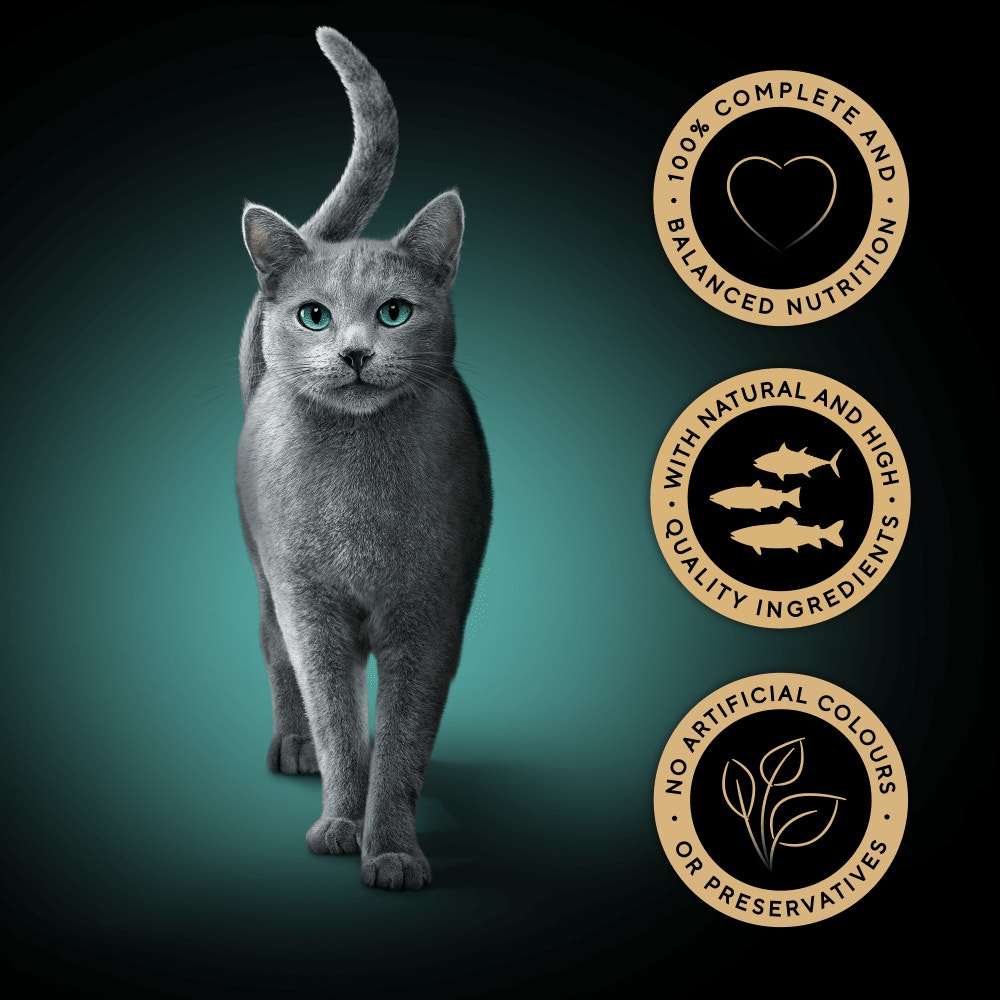 SHEBA® Fresh & Fine Adult Wet Cat Food Salmon & Tuna in Gravy 6x50g Pouches - 3