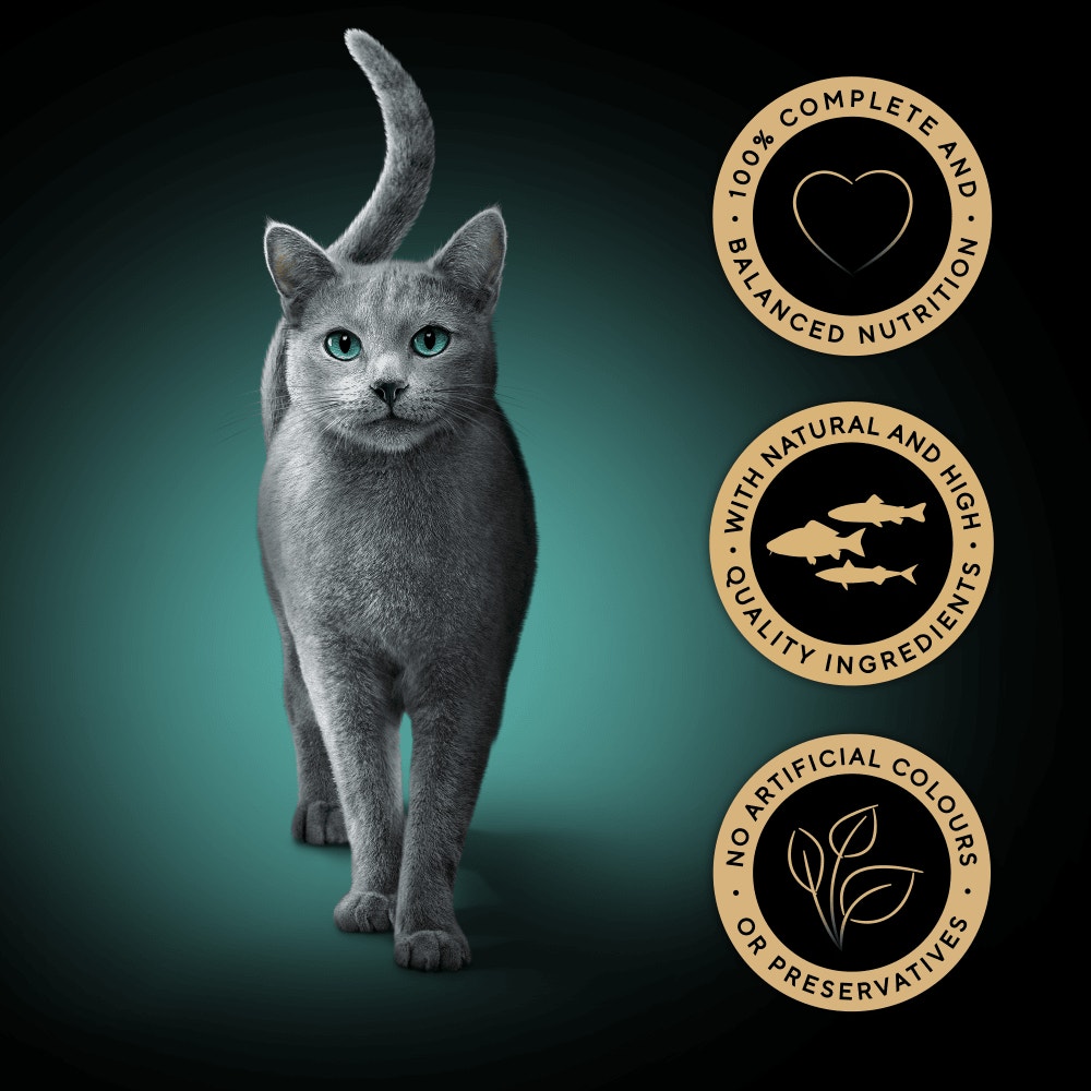 SHEBA® Fresh Cuisine Taste of Tokyo Wet Cat Food Fish in Gravy 6x50g Pouch - 3