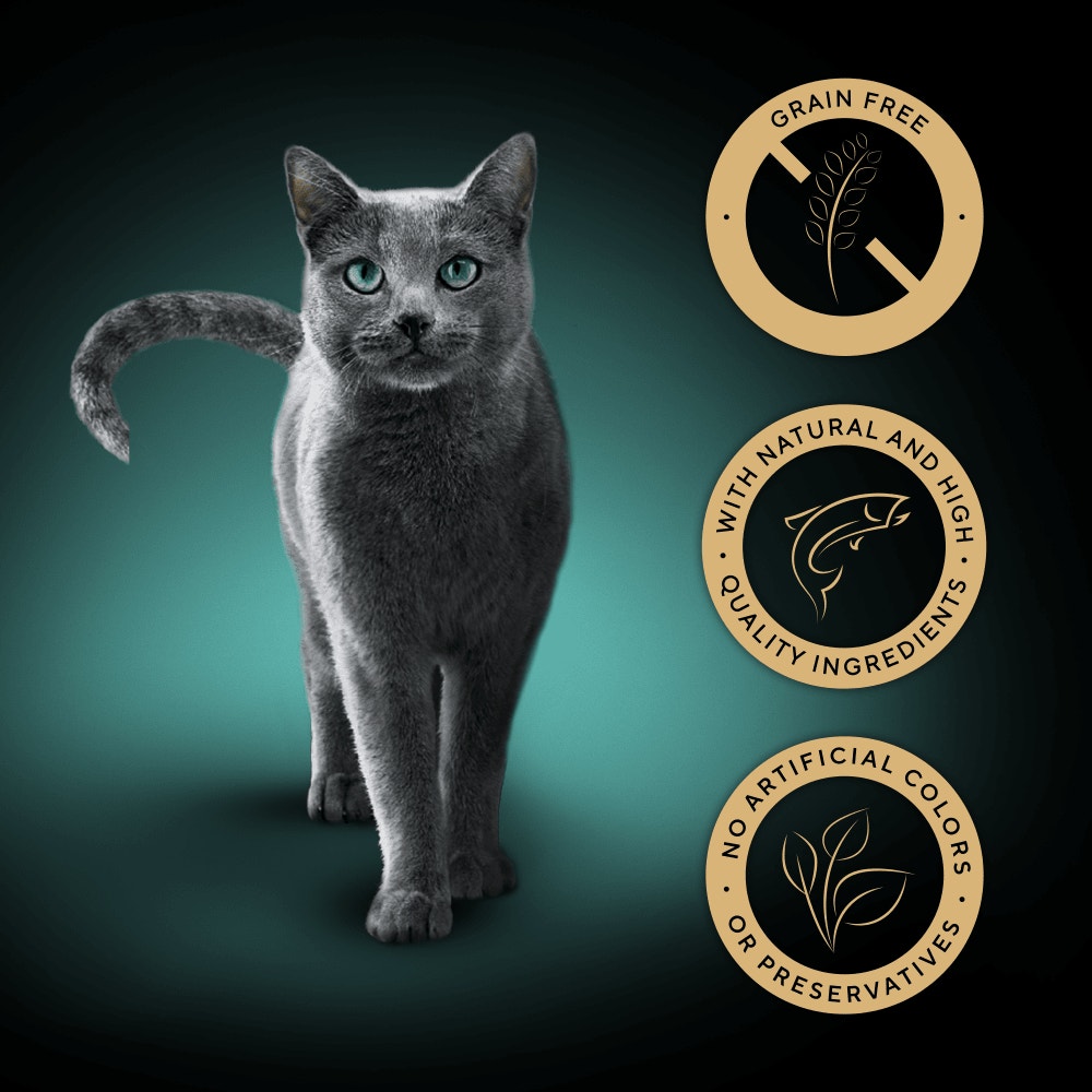 SHEBA®  Natures Collection Adult Cat Food Fish in Gravy 12 x 85g Pouch - 3