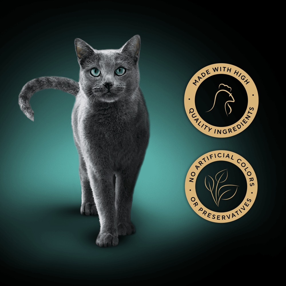 SHEBA® Filets Adult Cat Food with Chicken in Gravy 60g Tray - 3