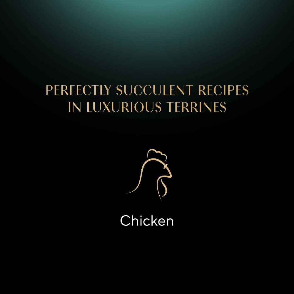 SHEBA® Nature's Collection Adult Cat Food with Chicken in Gravy 85g Tray - 4