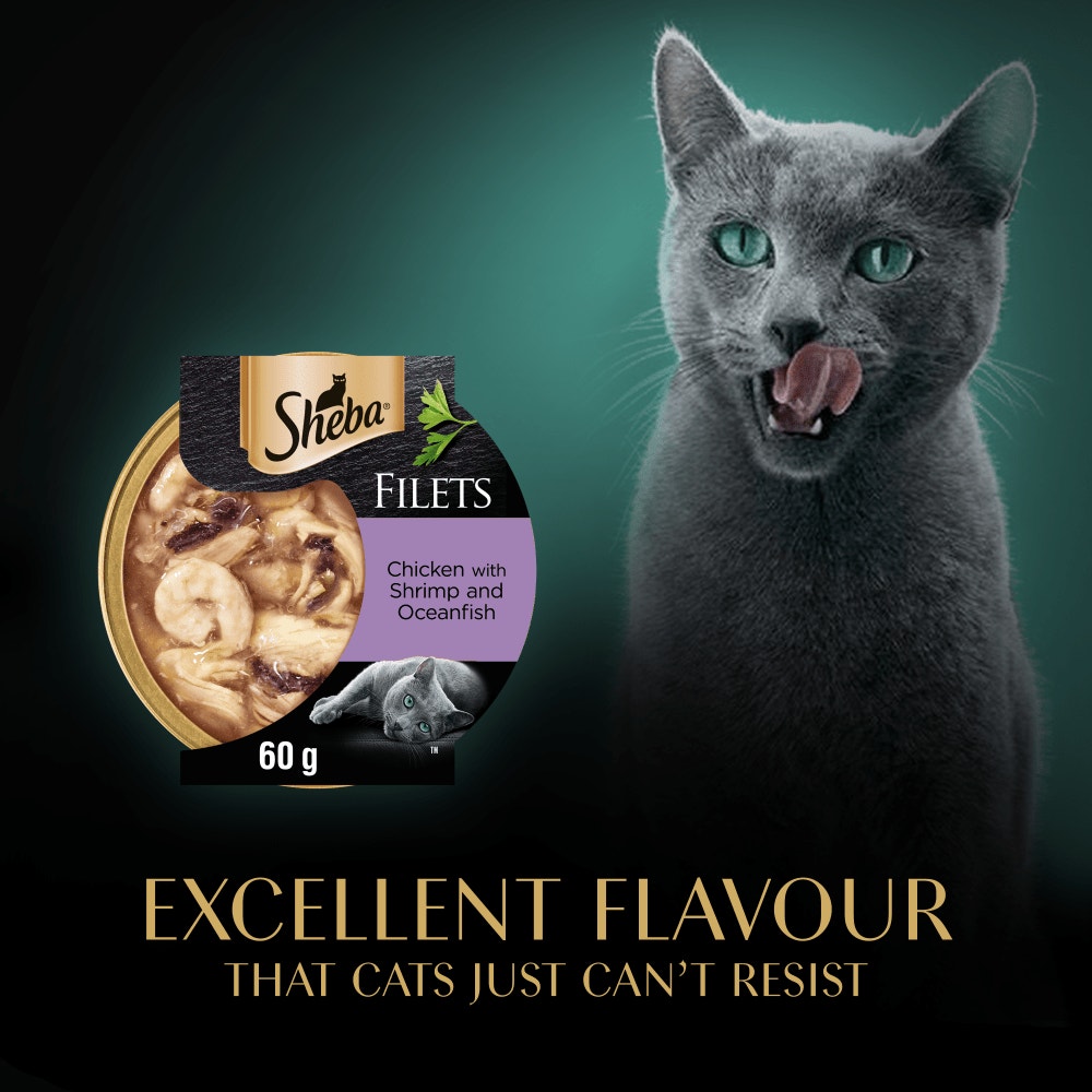 SHEBA® Filets Adult Cat Food with Chicken and Fish in Gravy 60g Tray - 4