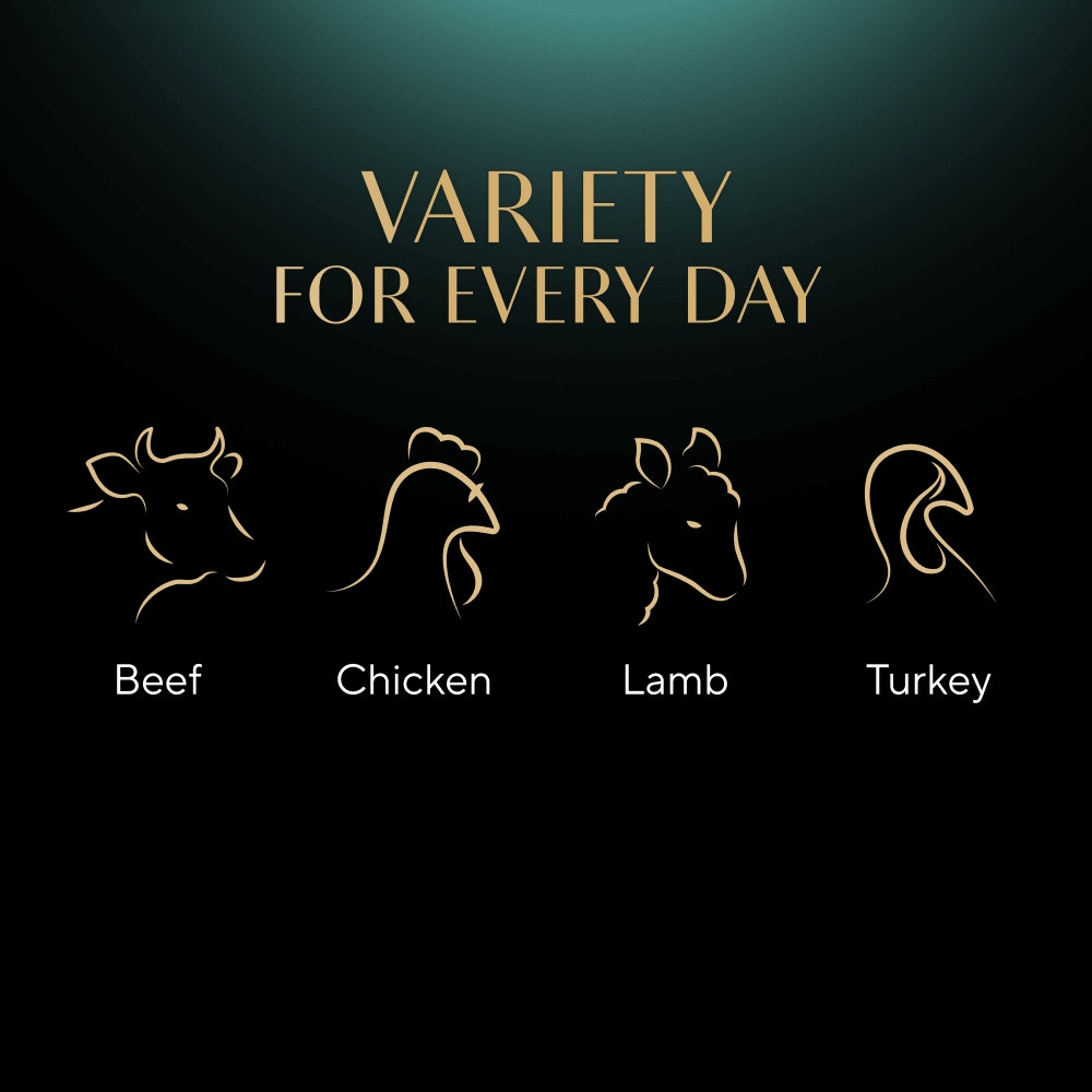 SHEBA® Fine Flakes Adult Cat Food Succulent Selection in Jelly 12x85g Pouch - 4