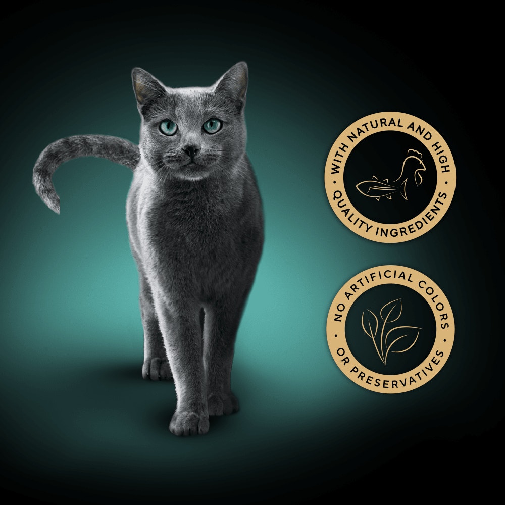 SHEBA® Filets Adult Cat Food with Chicken and Tuna in Gravy 60g Tray - 3