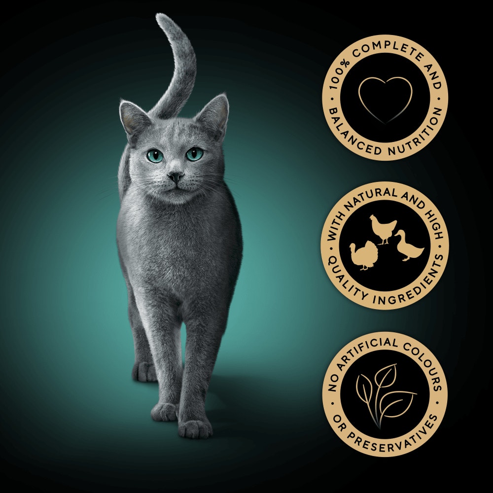 SHEBA® Fresh Cuisine Taste of Rome Wet Cat Food Poultry in Gravy 6x50g Pouch - 3