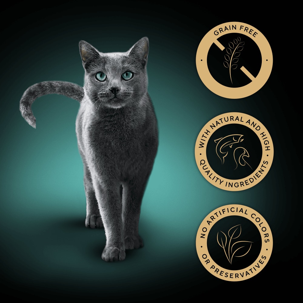 SHEBA® Nature's Collection Adult Cat Food Mixed in Gravy 40 x 85g Pouch - 3