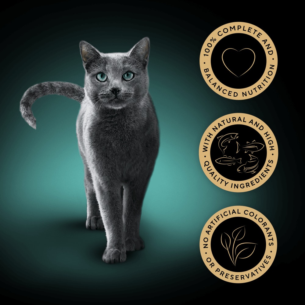 SHEBA® Sauce Collection Fish Selection 12 & 40 x 85g - 3