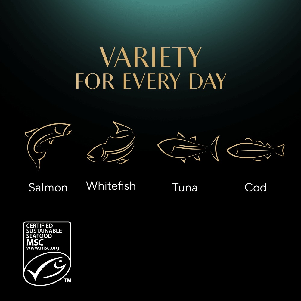 SHEBA® Sauce Collection Fish Selection 12 & 40 x 85g - 4