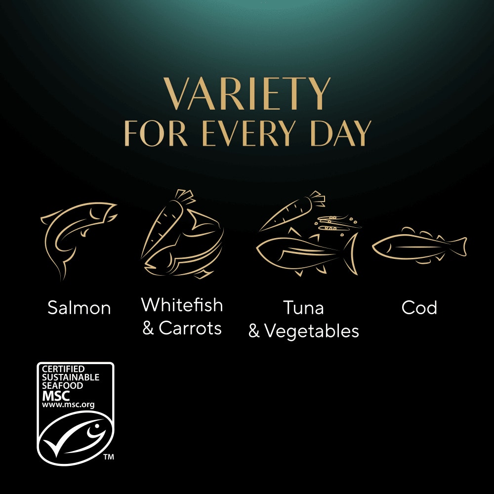 SHEBA® Classics Adult Cat Food with Salmon in Terrine 8 x 85g Tray - 4