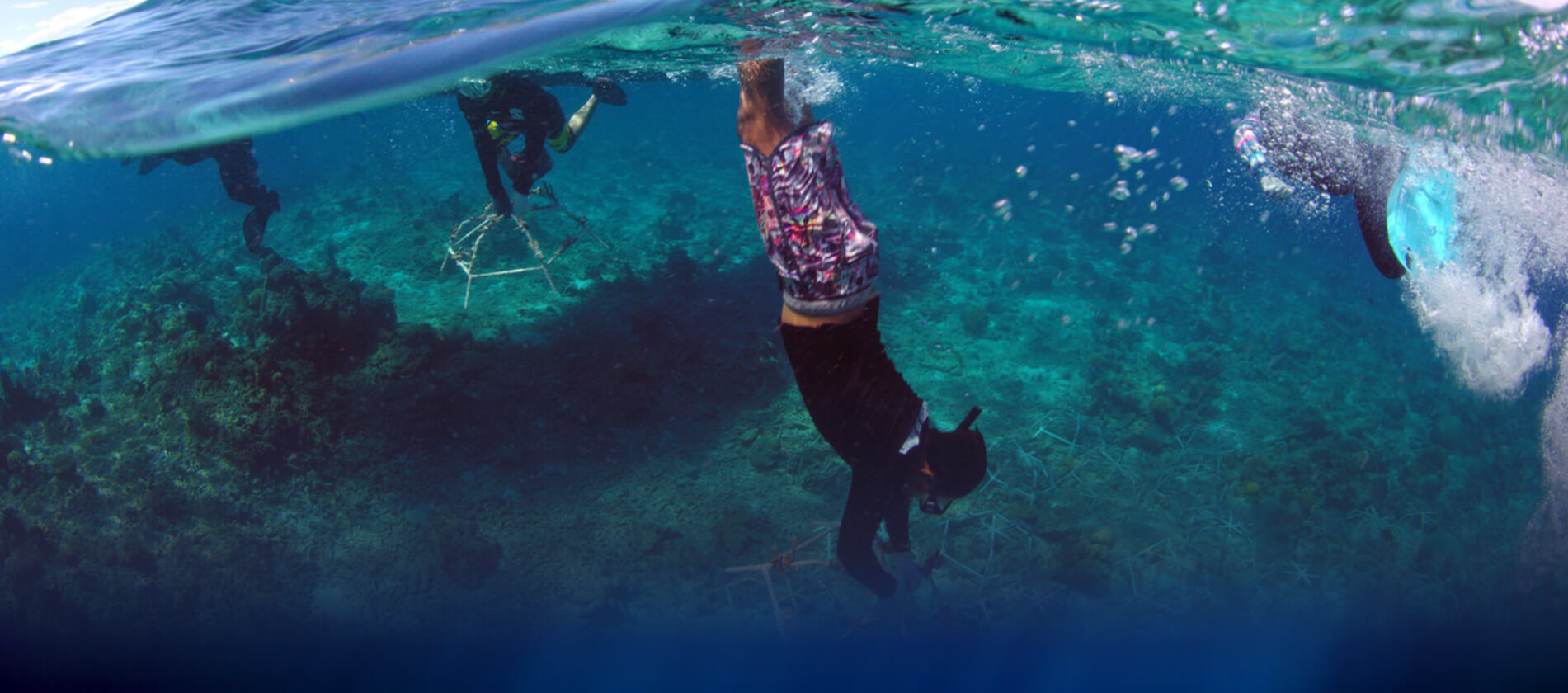 People with snorkels diving under water